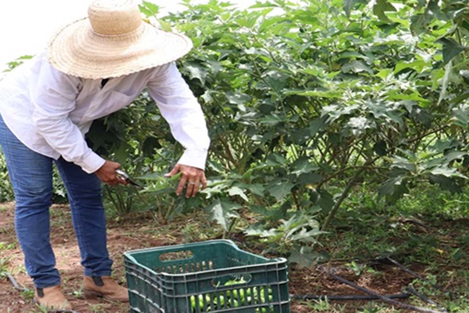 Semagri de Ji-Paraná Programa de Aquisição de Alimentos 2024