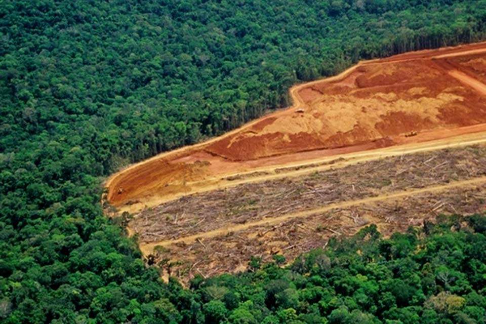 Desmatamento cai 54% na Amazônia e sobe 23% no Cerrado em março