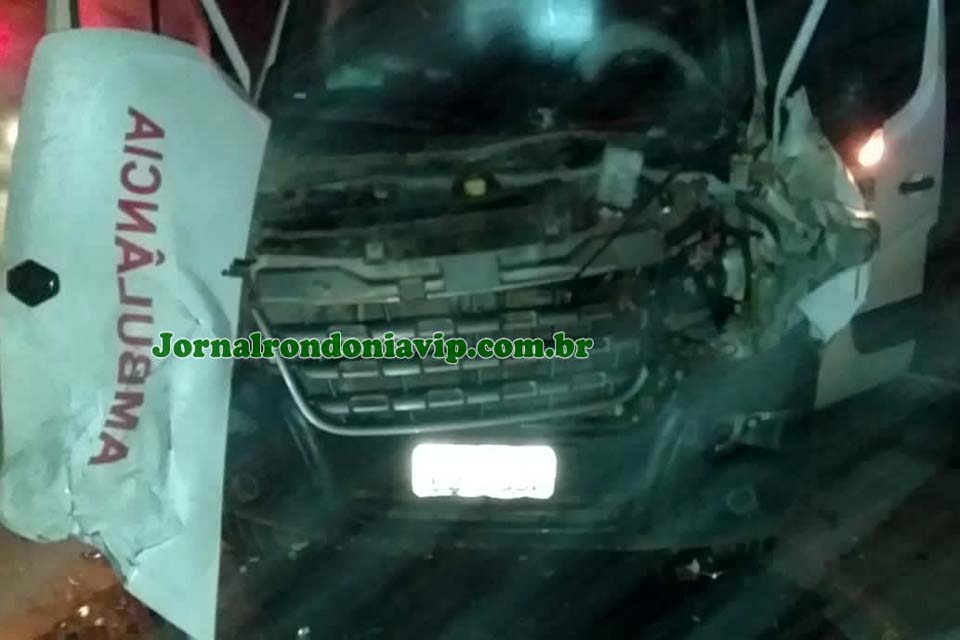 Vacas soltas na pista provocam grave acidente com ambulância na BR 421