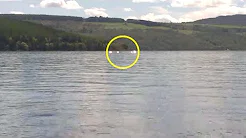 Filmagens mostra criatura misteriosa no Lago Ness