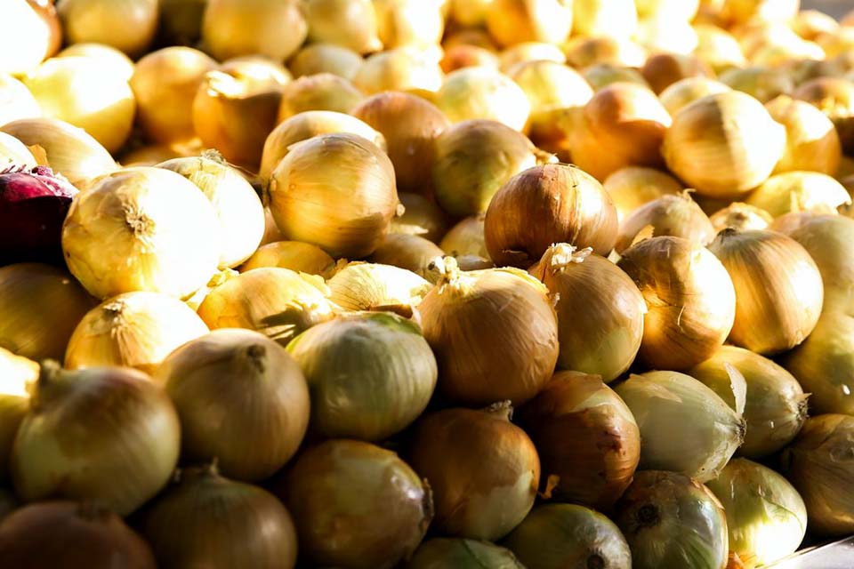 Cebola e tomate ficam mais baratos nas centrais de abastecimento