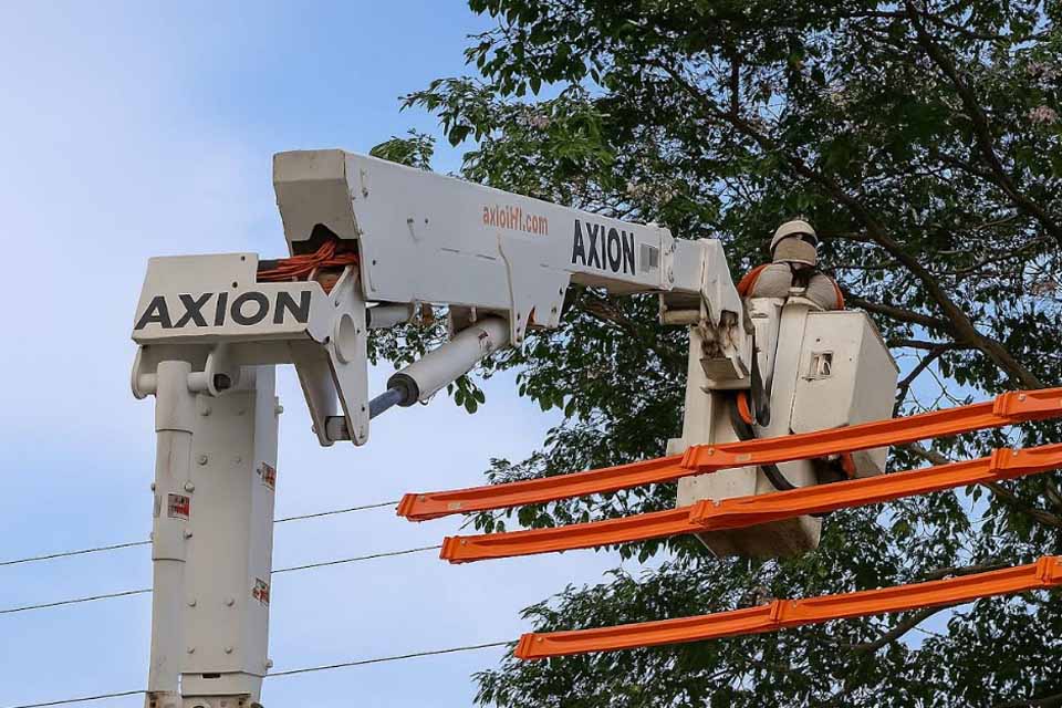 Energisa alerta sobre o risco do plantio de árvores perto da rede elétrica