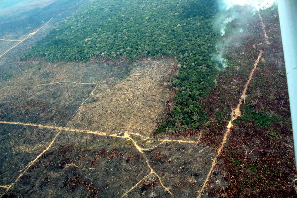 Alertas de desmatamento na Amazônia sobem 203% de junho a agosto
