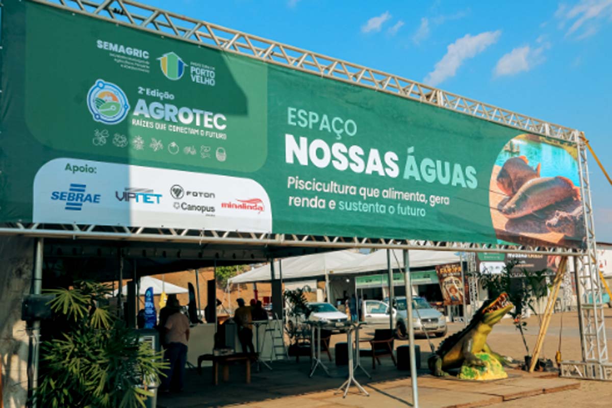 Piscicultura, peixes da Amazônia ganham novos caminhos para o desenvolvimento regional