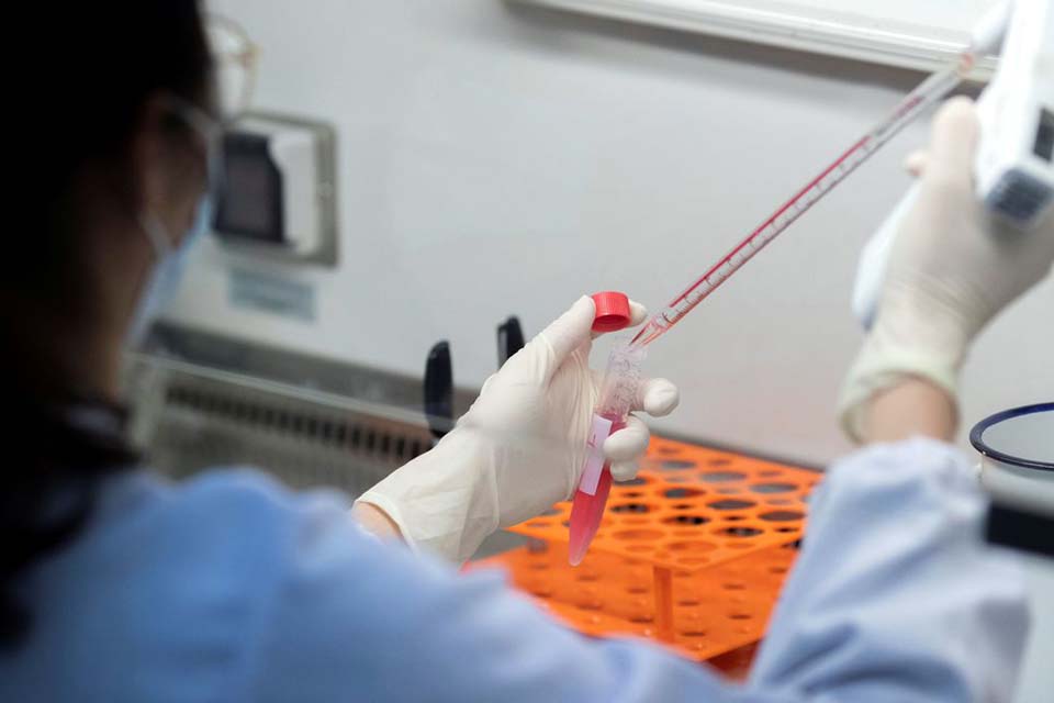 Plataforma dos cartórios reúne informações de mortes por covid-19