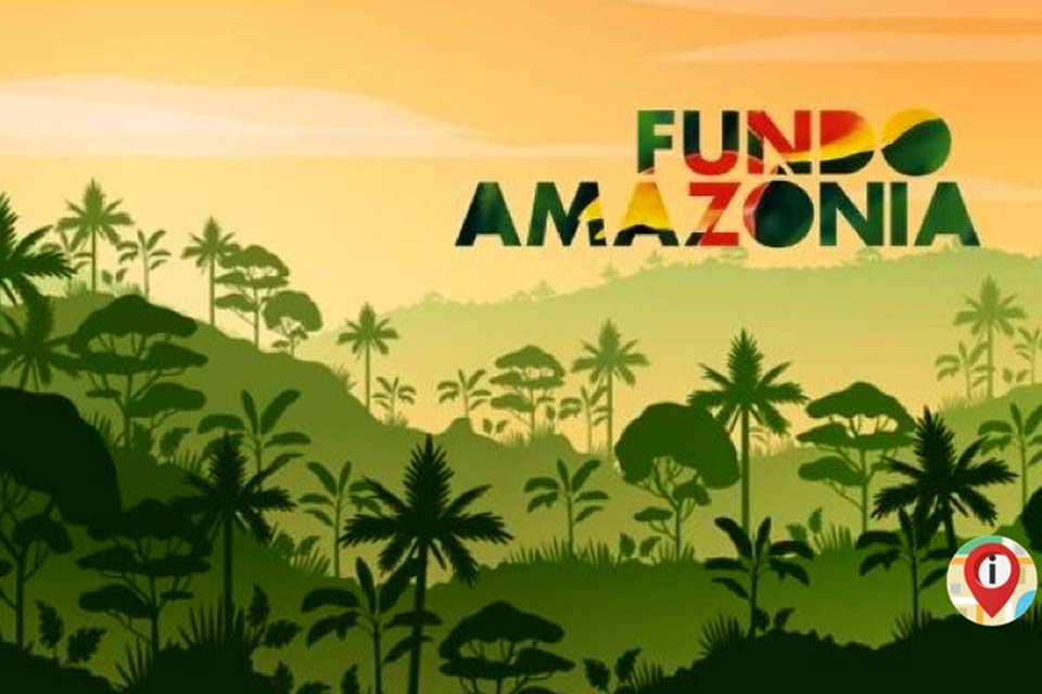 União Europeia fará doação de 20 milhões de euros para Fundo Amazônia