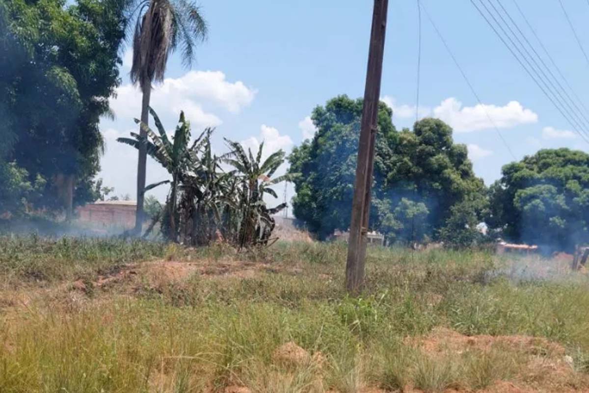 Queimadas em terrenos baldios preocupam moradores e mobilizamfiscalização ambiental