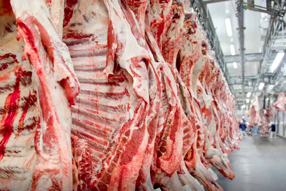 Exportação de carne bovina bate recorde em mês anterior ao tarifaço