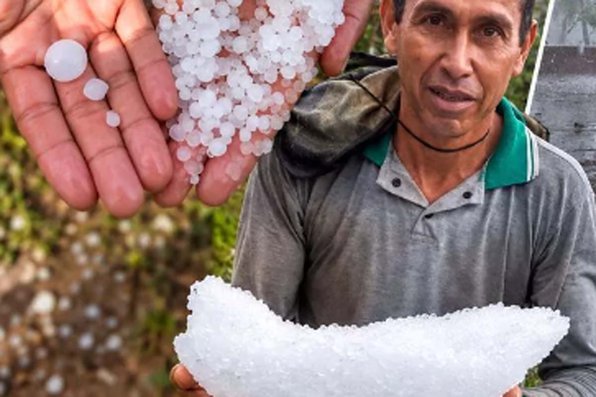 Temporal com granizo destelha casas e derruba árvores em Alto Alegre dos Parecis
