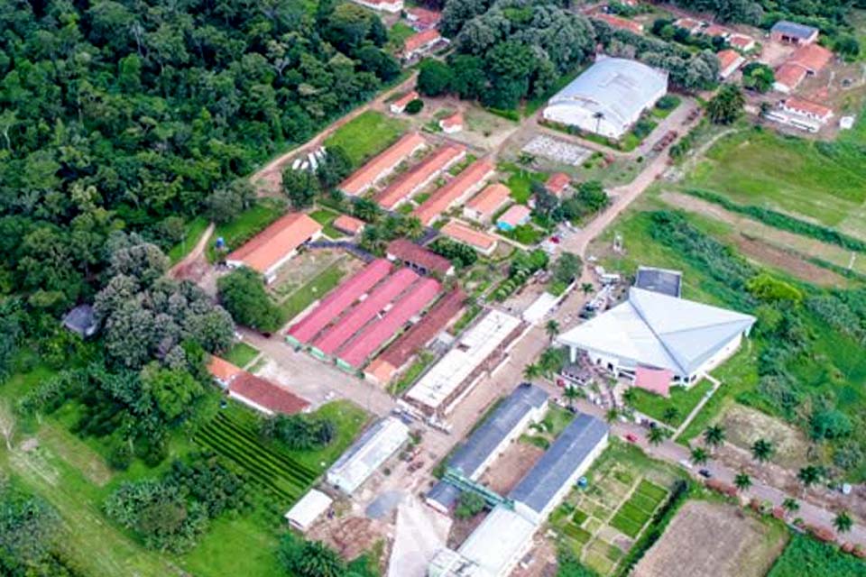 IFRO seleciona professores substitutos nas áreas de Educação Física e Engenharia Sanitária Ambiental