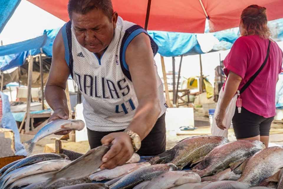 Produtores brasileiros começam a sentir efeitos da taxação dos EUA
