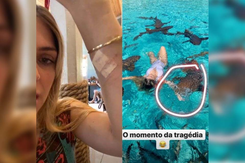Blogueira é mordida enquanto nadava com tubarões: - Arrancou um pedaço do meu braço