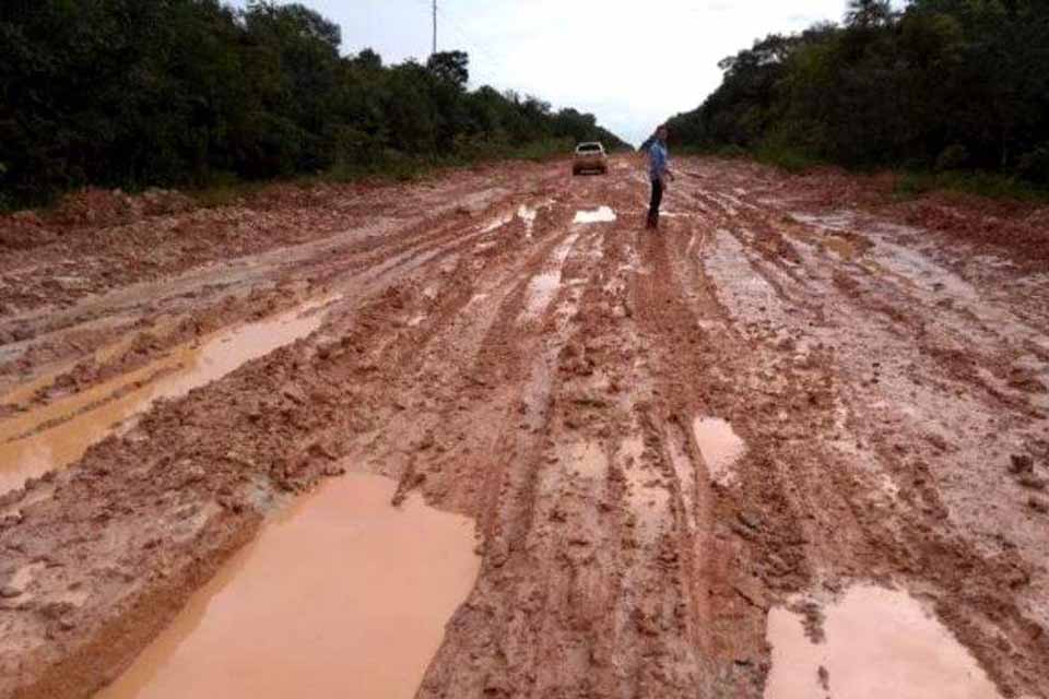 Ibama ainda tem dúvidas sobre liberar reconstrução do “trecho do meio” da BR-319, que liga Porto Velho a Manaus