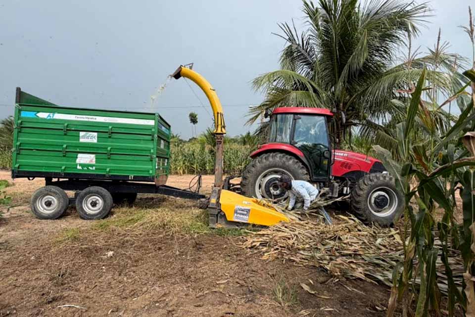 Prefeitura apoia produtores na produção de silagem de qualidade em Ji-Paraná