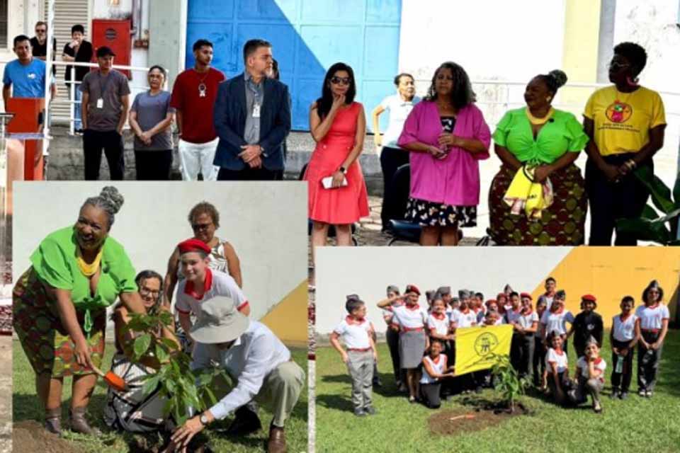 Secretaria de Gênero e Etnia do SINTERO entrega muda de Baobá durante evento do TRT-14