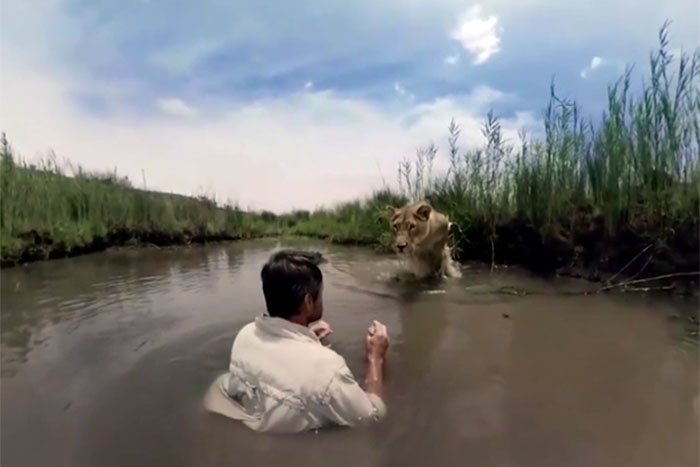 Conheça Kevin Richardson, o encantador de leões