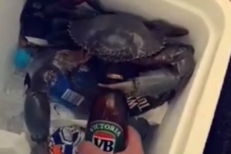 Homem usa caranguejo para abrir cerveja na Austrália