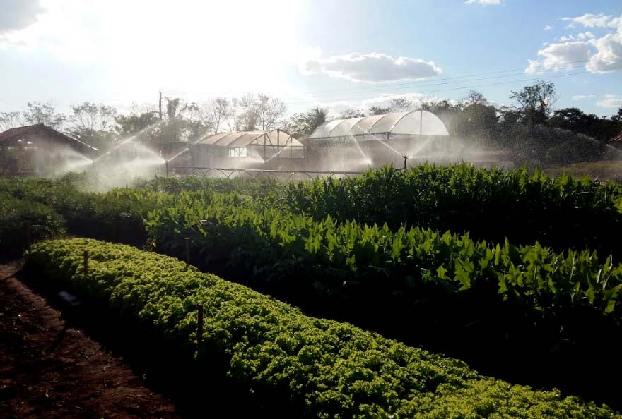 IFRO Campus instala sistema de irrigação para UEPs