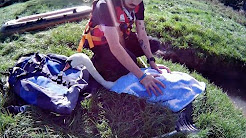 Cisne preso em linha de pesca é resgatado 