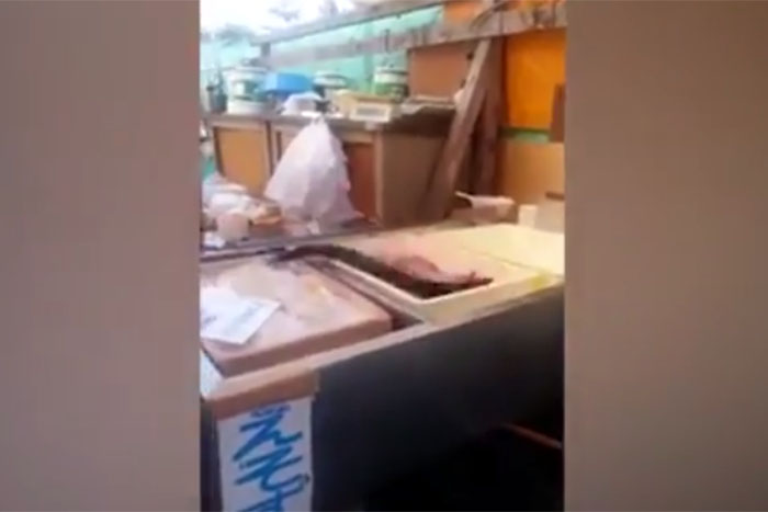 Bizarro! Peixe cortado ao meio pula como se estivesse vivo