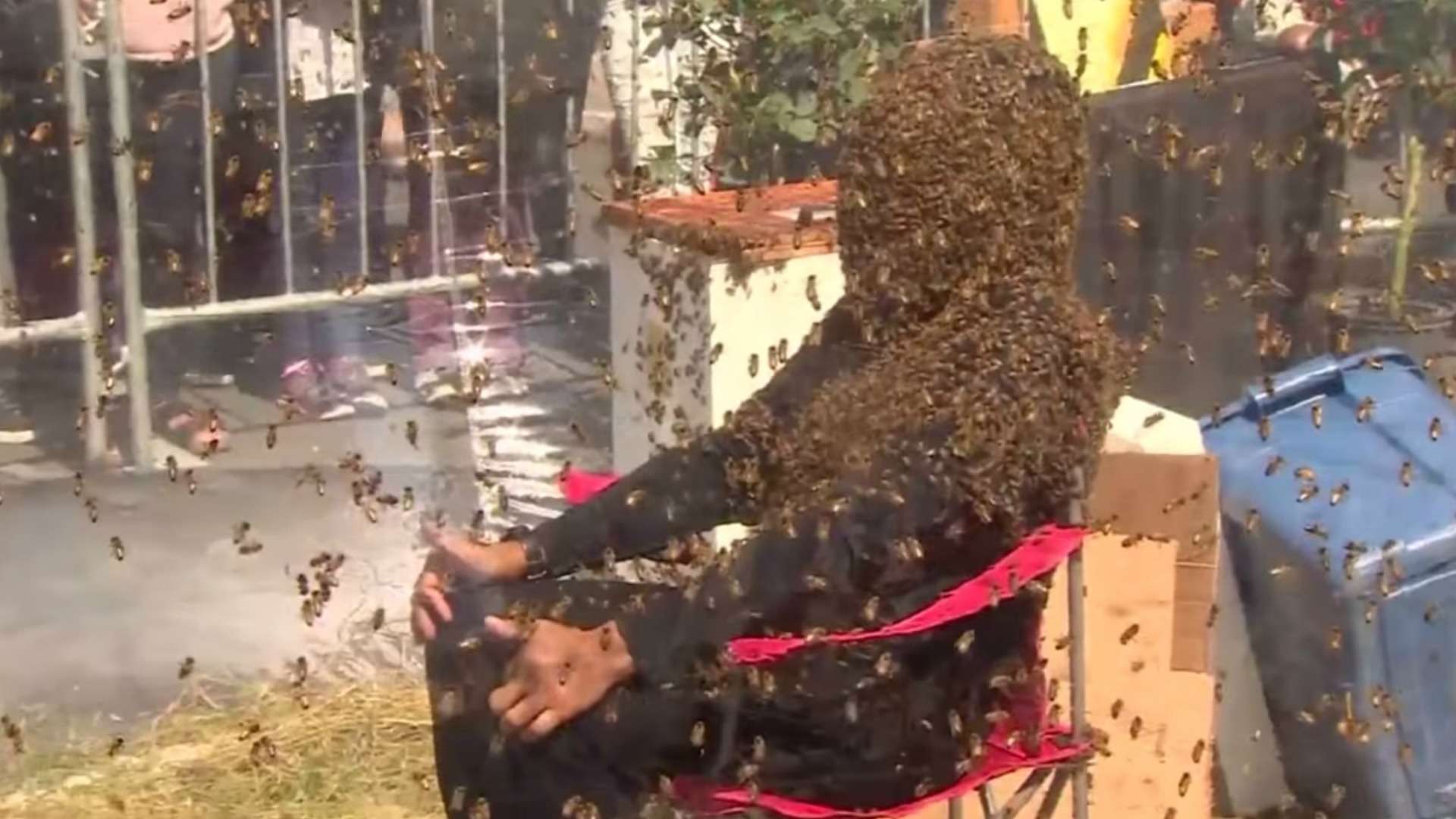 Homem bate recorde de maior tempo com abelhas no rosto