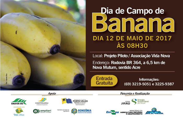Dia de campo sobre banana acontece no dia 12 de maio em Porto Velho