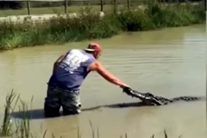 Homem desafia crocodilo e quase perde os dedos