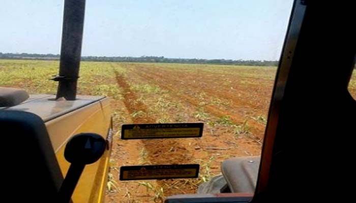 Com semeadura em andamento, chuvas irregulares preocupam plantadores de soja
