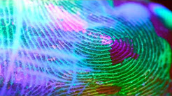 Artista cria obras que simulam a pele humana