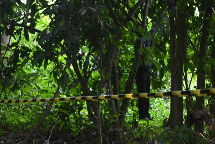 JARU: Corpo de homem é encontrado enforcado pendurado em árvore no St-02