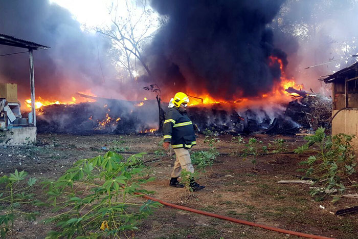 Fogo em matagal destrói fábrica de reciclagem na zona Sul