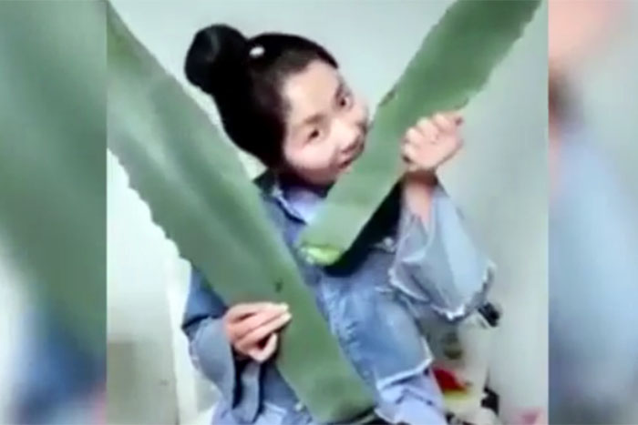 Vlogueira chinesa se confunde e come planta venenosa