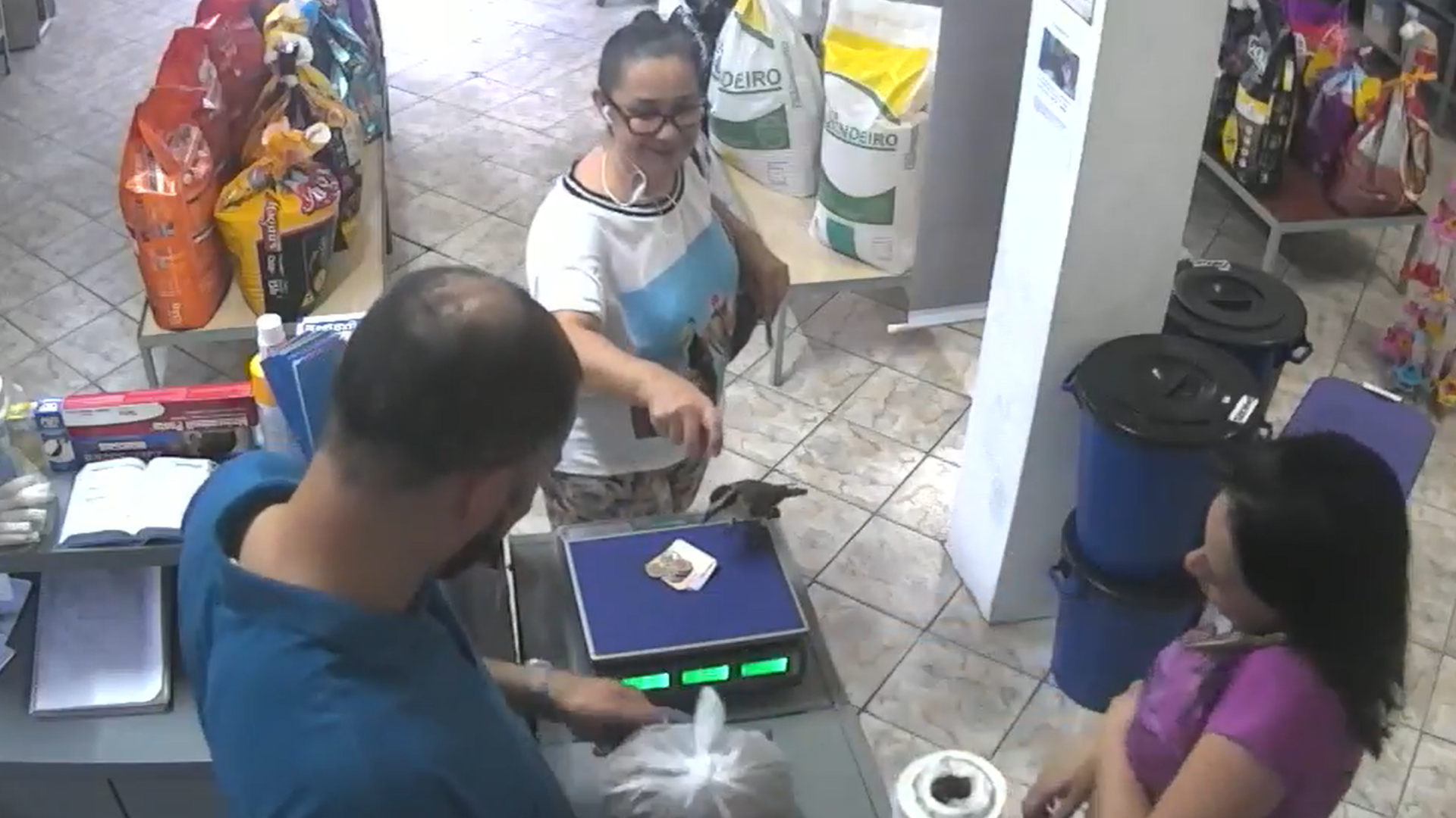 Passarinho entra em loja e rouba dinheiro de cliente