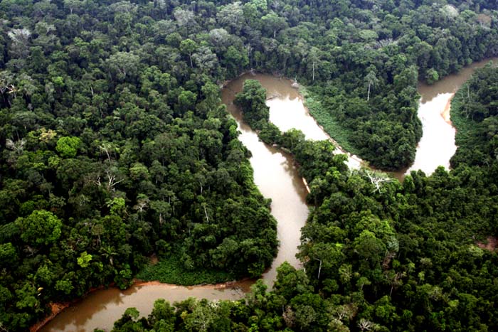 MPF e MP/RO movem ação para retirada imediatados invasores da Floresta Nacional do Bom Futuro