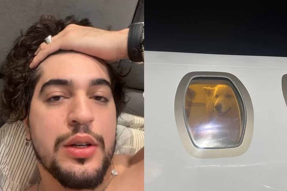 Henrique e Juliano “sequestram” cachorros do cantor Nattan e levam os pets de jatinho para outro estado