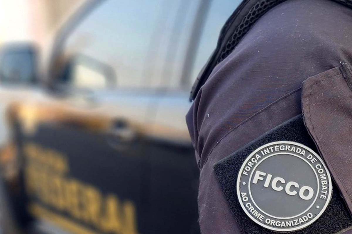FICCO/RO apreende armas de fogo e prende suspeito em Porto Velho