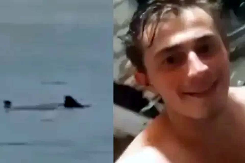 Restos mortais de russo atacado por tubarão são encontrados no animal