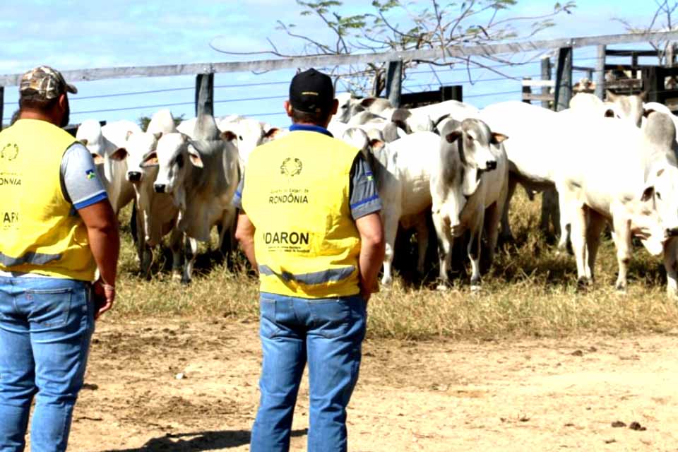 A partir de sábado, 1º, produtor terá 30 dias para atualizar cadastro agropecuário junto à Idaron