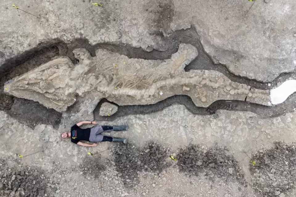 Fóssil de “dragão do mar gigante” encontrado no Reino Unido
