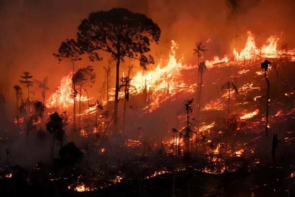 Bolsonaro abriu mão de pelo menos R$ 18 bi em multas do Meio Ambiente
