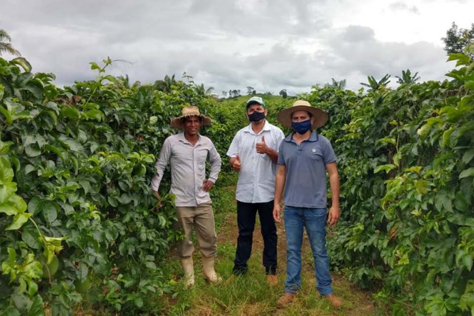 Lavoura de maracujá recebe assitência técnica e produotores têm boas expectativas para próxima safra