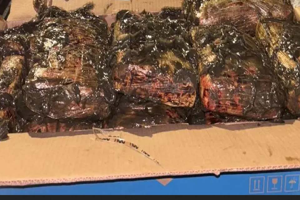 Ação conjunta entre PCRO e PCAC apreende 20kg de drogas em Porto Velho