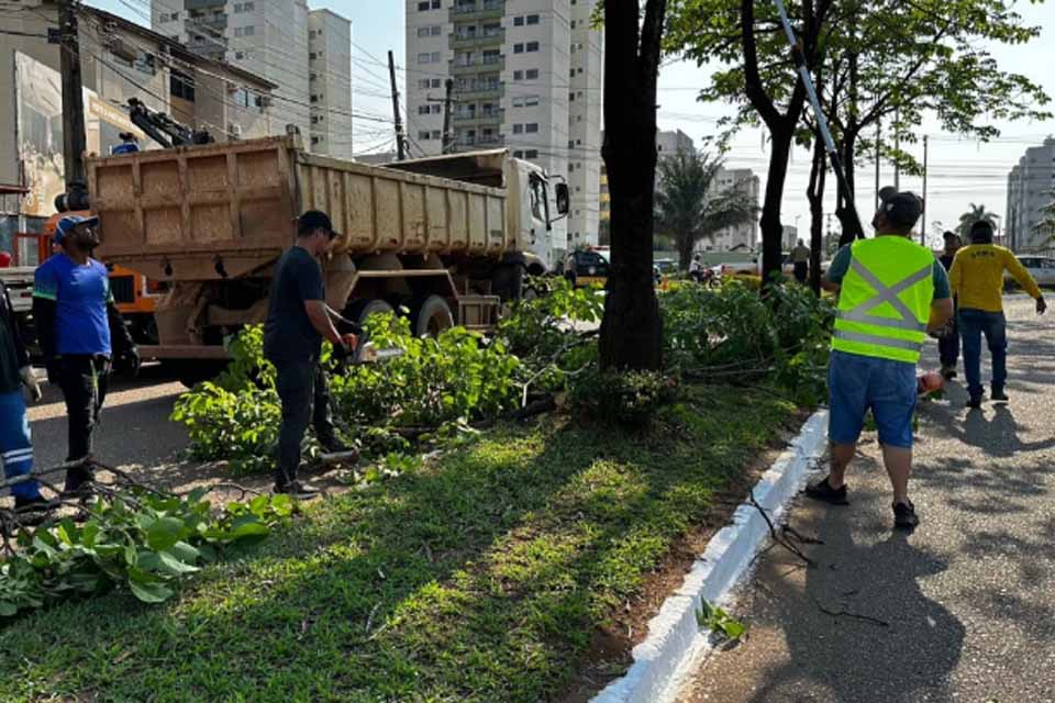 Prefeitura de Porto Velho realiza poda de árvores na avenida Imigrantes