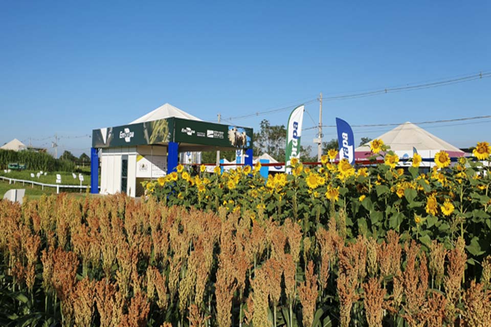 Embrapa apresenta tecnologias e inovações na 9ª edição da Rondônia Rural Show
