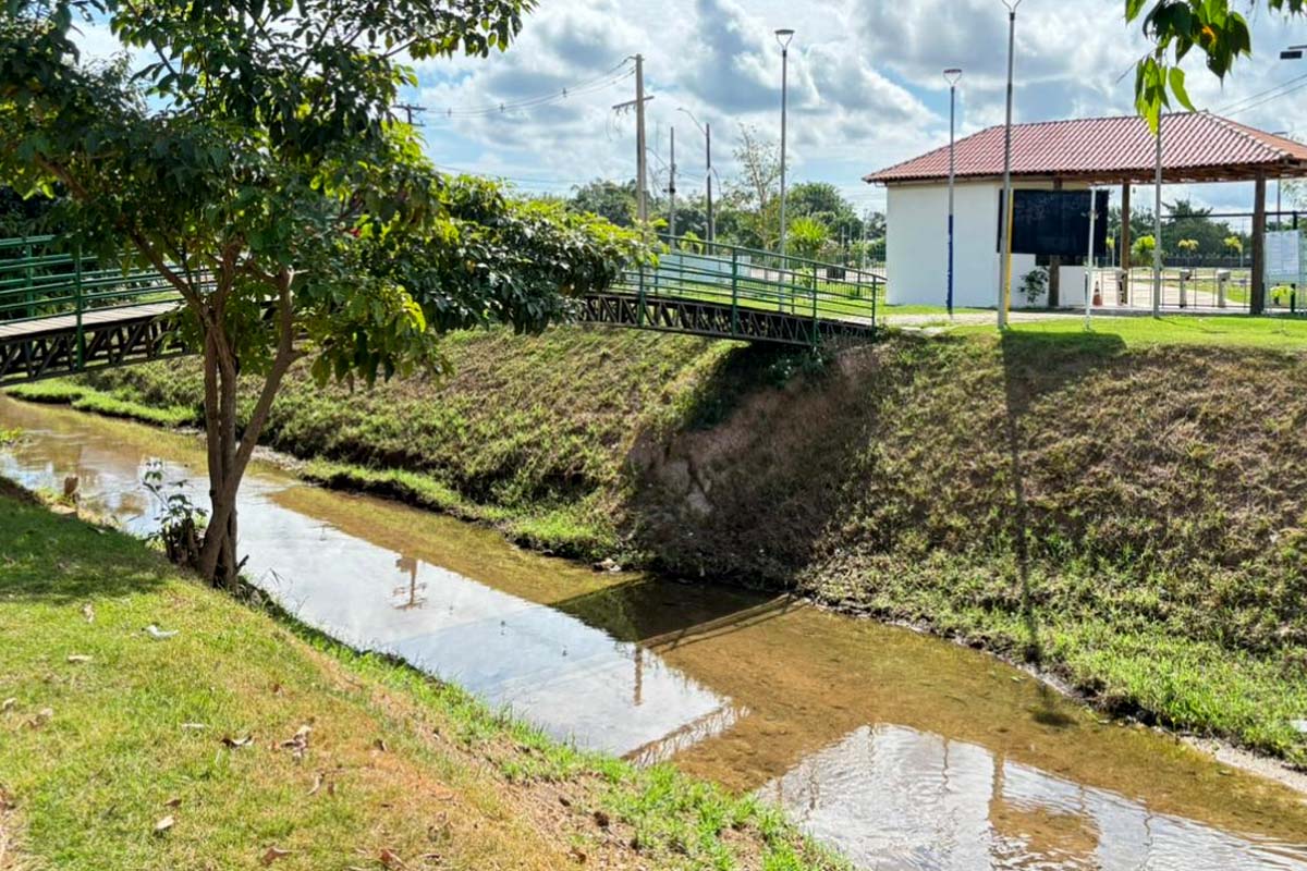 Após limpeza da Prefeitura, peixes voltam a aparecer no Igarapé do Botinha