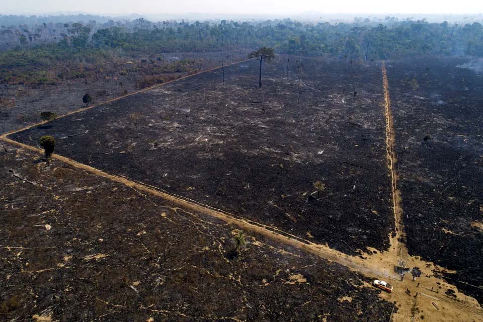 Desmatamento global está longe das metas de redução acordadas na COP26, aponta levantamento