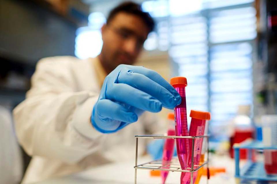 Cientistas descobrem célula que poderá tratar todos os tipos de câncer