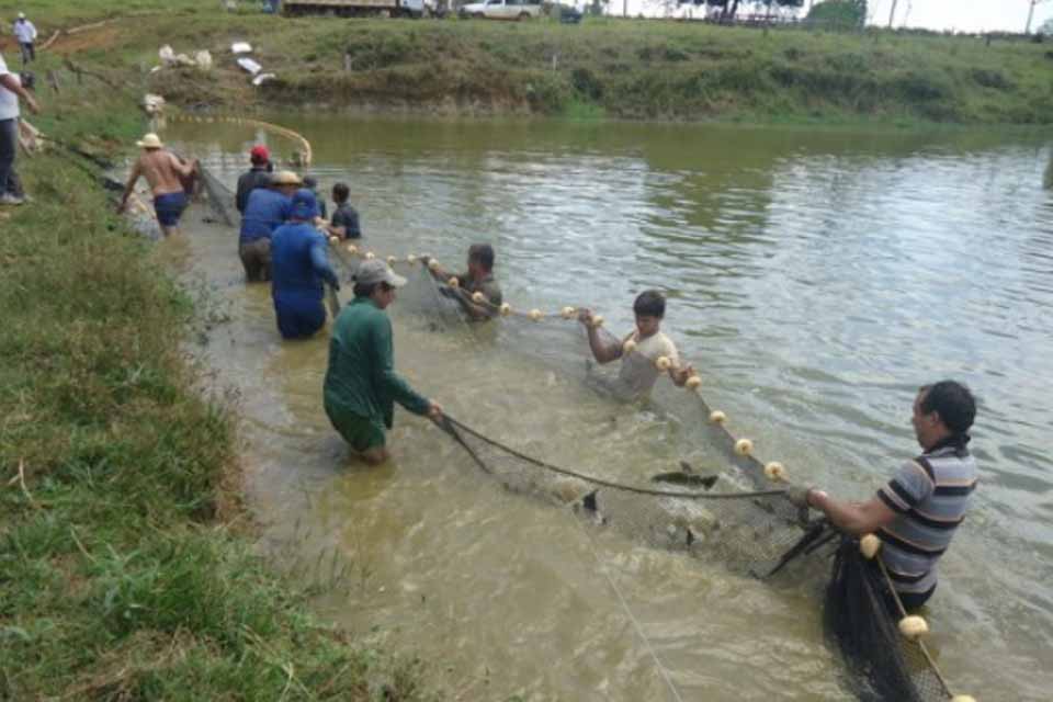 Com financiamento do governo de Rondônia projeto inovador do programa Centelha é destaque em artigo publicado
