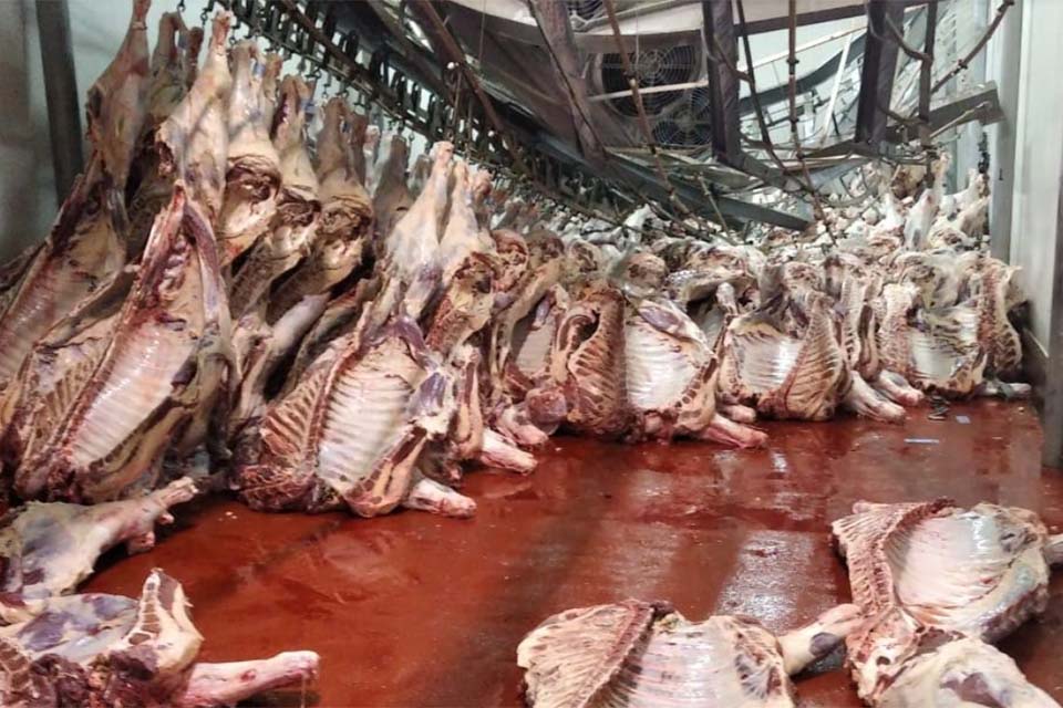Ministério Público de Rondônia acusa JBS de reaproveitar carne contaminada com amônia, gás tóxico altamente prejudicial à saúde