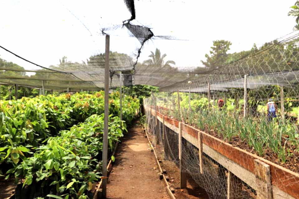 Ações do Plano Pena Justa são ampliadas com visita técnica a projeto de reintegração social
